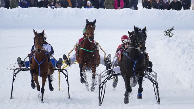 德甲前瞻：拜仁欧冠失利后德甲必须获胜，圣保利已遭遇8连败