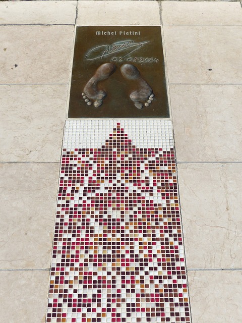 里昂15岁潜力中锋泽科维奇：崇拜哈兰德和DV9的左脚射手